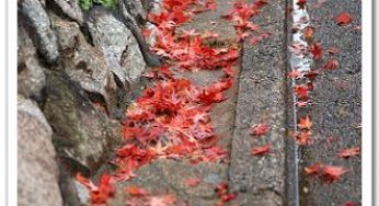 京都東福寺