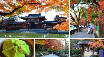 【宇治一日遊】景點行程全攻略！用悠閒的步調暢遊抹茶與源氏物語的故鄉～