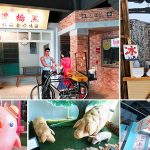 [台南景點] 黑橋牌香腸博物館~ 懷舊街道十足復古味，免門票好逛又好拍